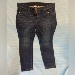 EVRI Skinny Jeans - Plus Size